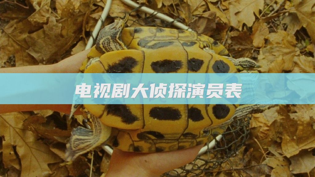 电视剧大侦探演员表