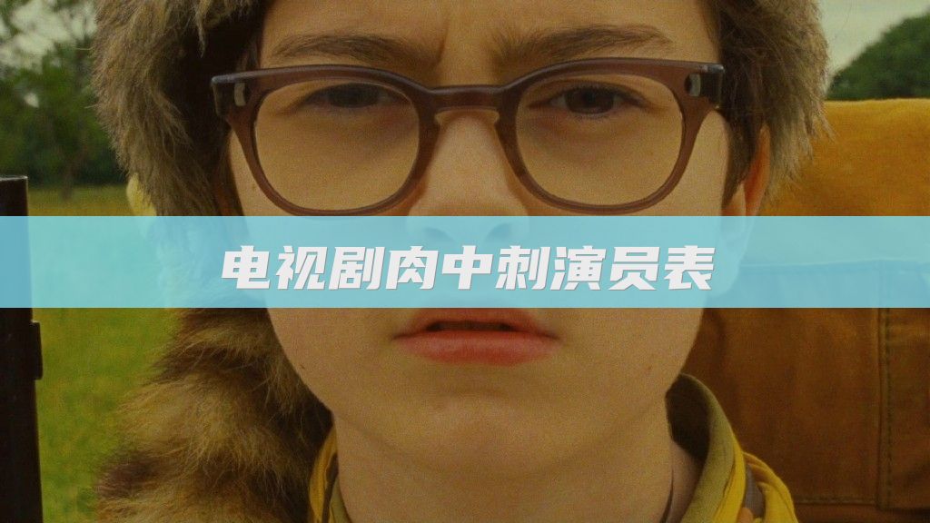 电视剧肉中刺演员表
