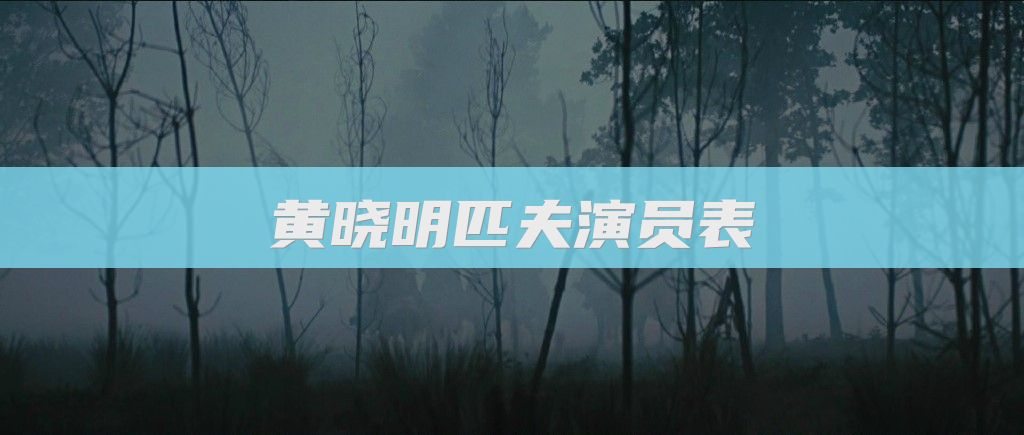 黄晓明匹夫演员表