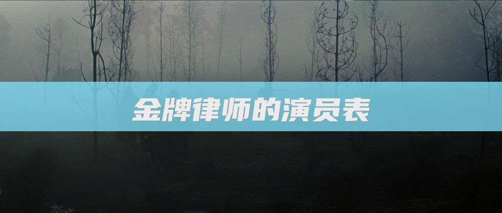 金牌律师的演员表