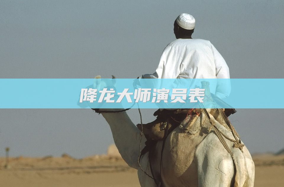 降龙大师演员表